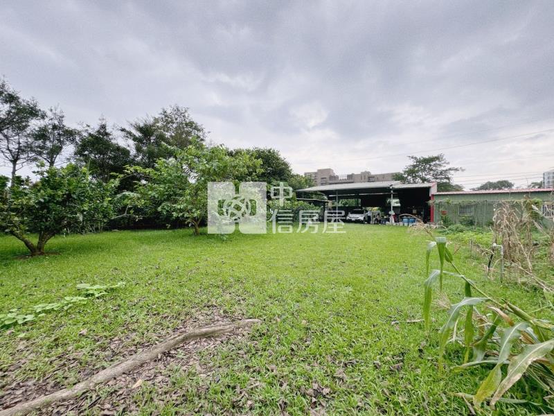 龍潭名人堂買地送貨櫃鐵皮屋房屋室內格局與周邊環境