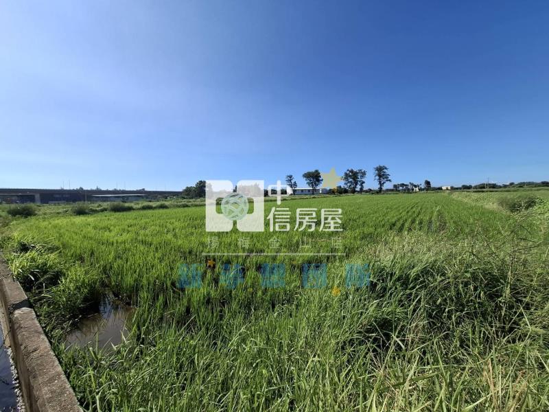 【新夢想】中山西路三段一般農房屋室內格局與周邊環境