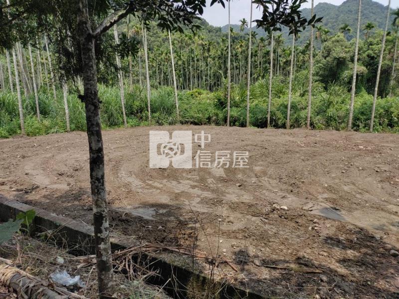 宜蘭員山鄉臨路農地房屋室內格局與周邊環境