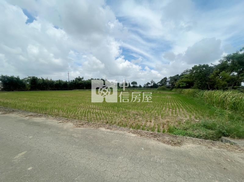 楊梅富岡方正超值美農地A房屋室內格局與周邊環境