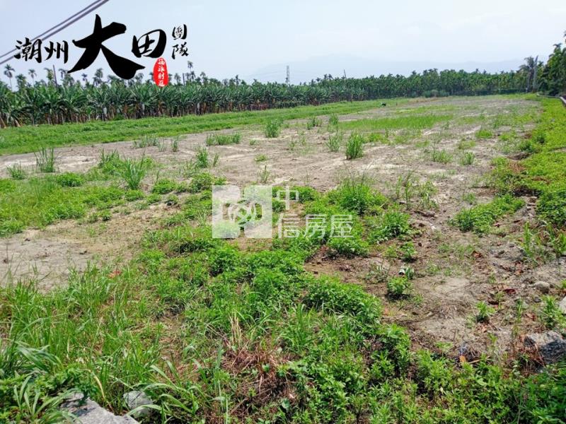 潮州村庄農地房屋室內格局與周邊環境