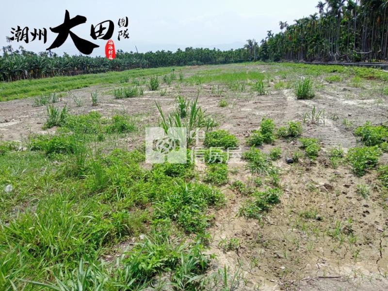 潮州村庄農地房屋室內格局與周邊環境