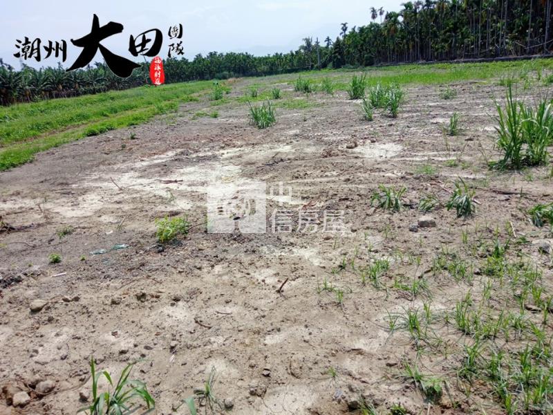潮州村庄農地房屋室內格局與周邊環境