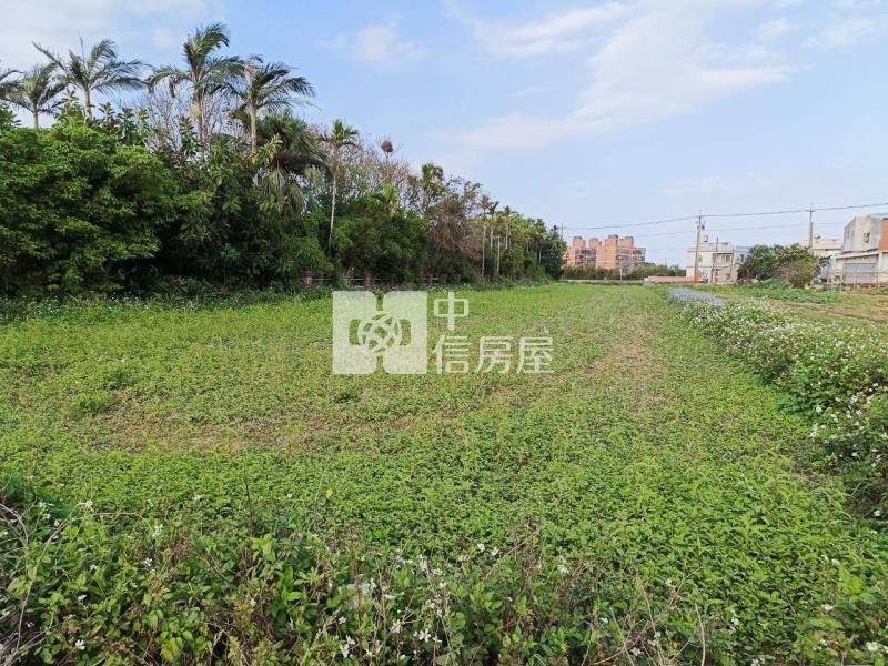 觀音向陽農場/蓮花園區農地房屋室內格局與周邊環境