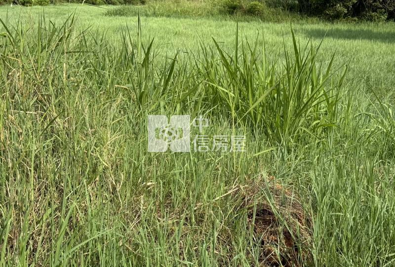 【安家】專任-過嶺方正美農地房屋室內格局與周邊環境