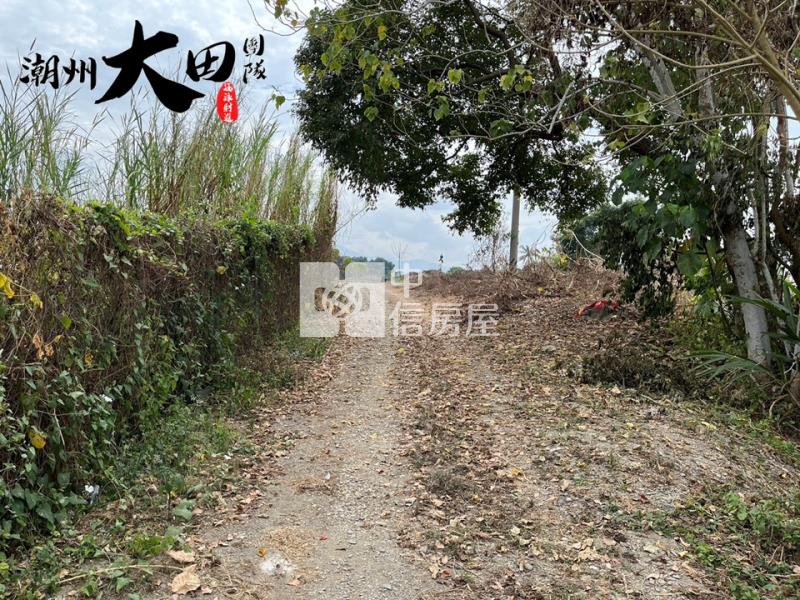 【專約】萬巒柑園段農地房屋室內格局與周邊環境