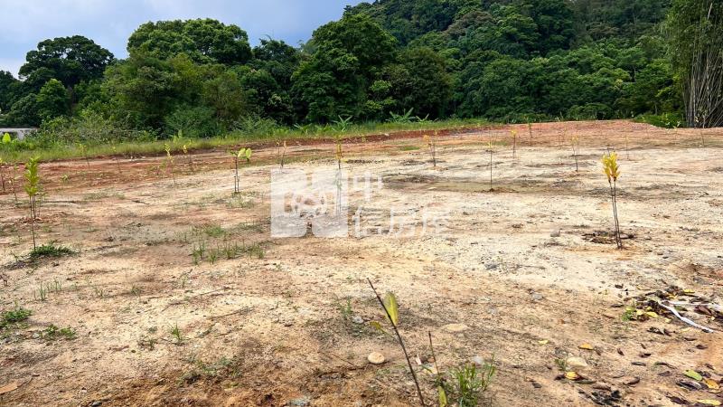 近內灣橫山休閒低總價農地C房屋室內格局與周邊環境