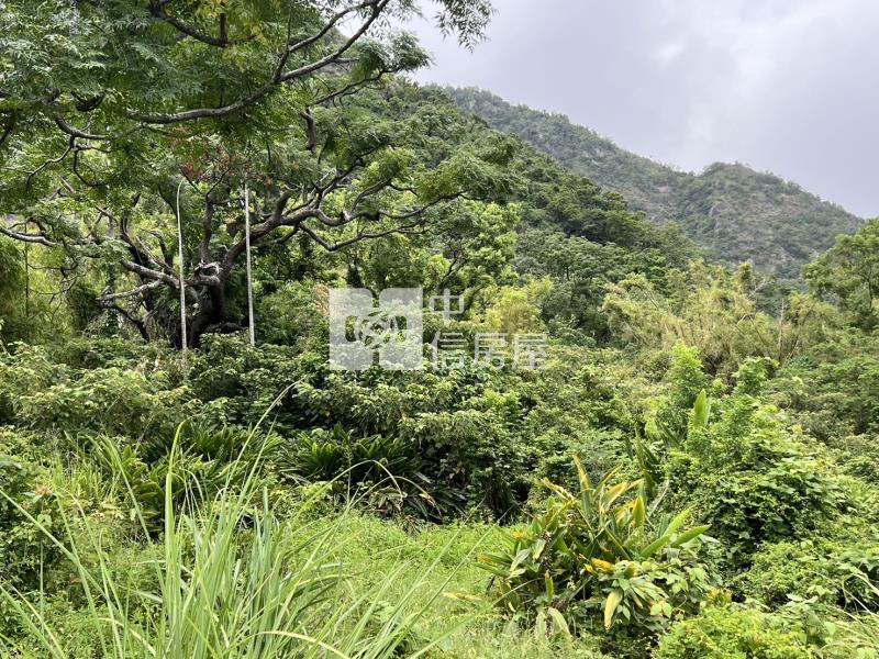 B62-東管處月光海農地(可分割)房屋室內格局與周邊環境