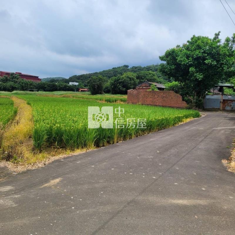 楊梅牲牲路稀有丙建+農 地(有水有電)房屋室內格局與周邊環境