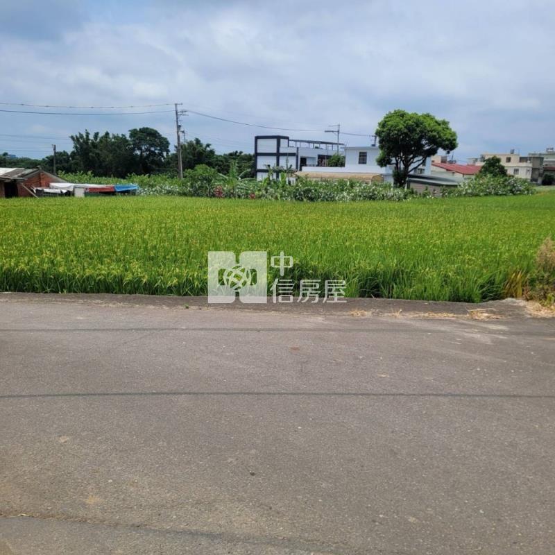 楊梅牲牲路稀有丙建+農 地(有水有電)房屋室內格局與周邊環境