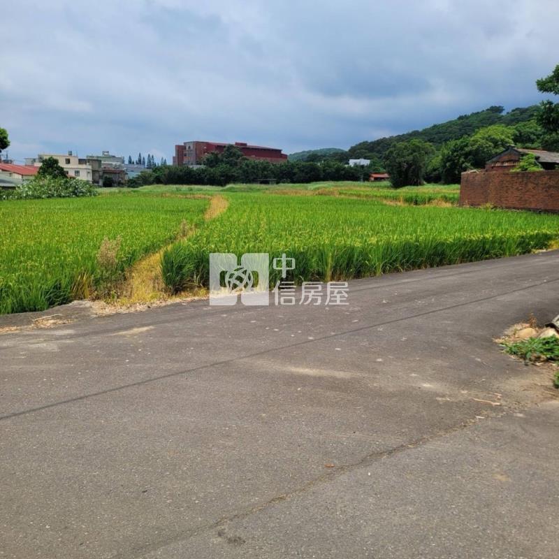 楊梅牲牲路稀有丙建+農 地(有水有電)房屋室內格局與周邊環境
