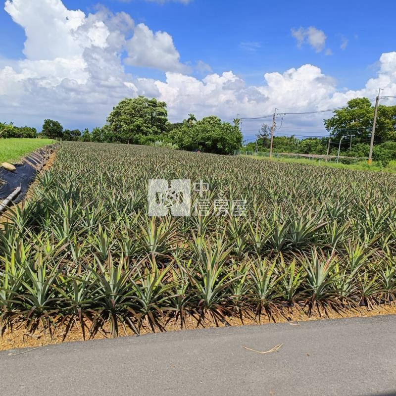 大樹小坪國小農地房屋室內格局與周邊環境