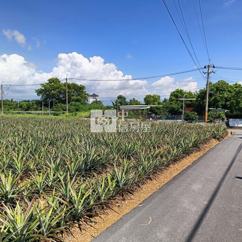大樹小坪國小農地房屋室內格局與周邊環境