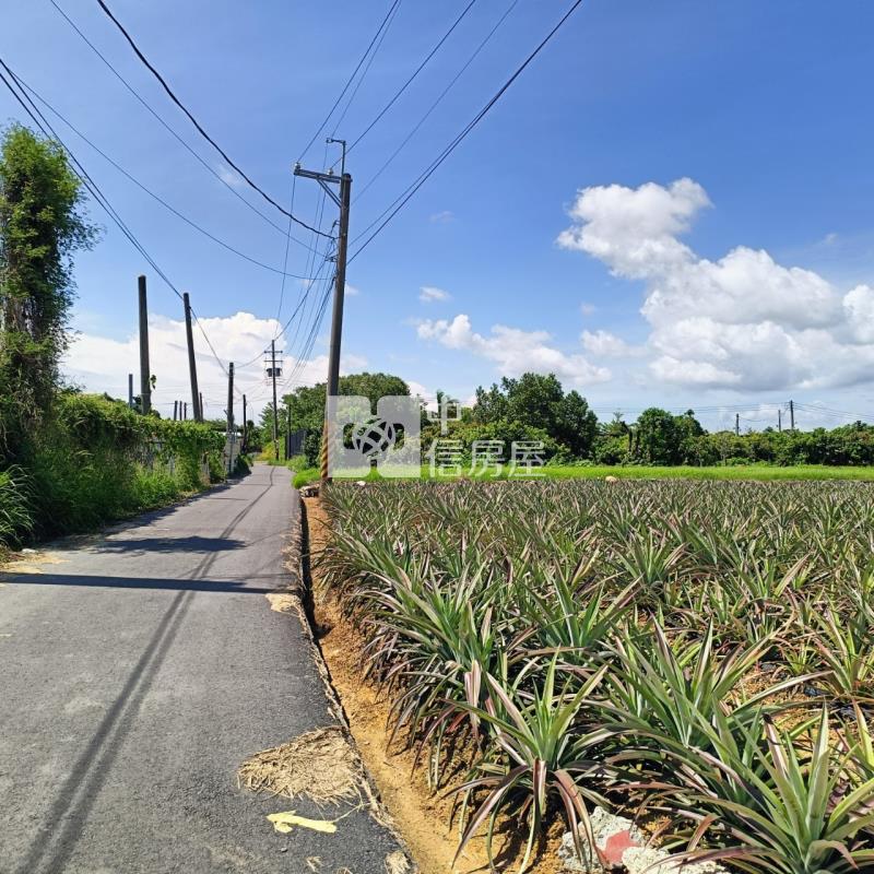 大樹小坪國小農地房屋室內格局與周邊環境