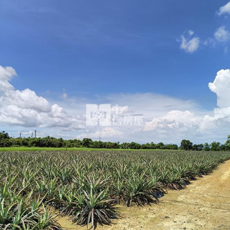大樹小坪國小農地房屋室內格局與周邊環境