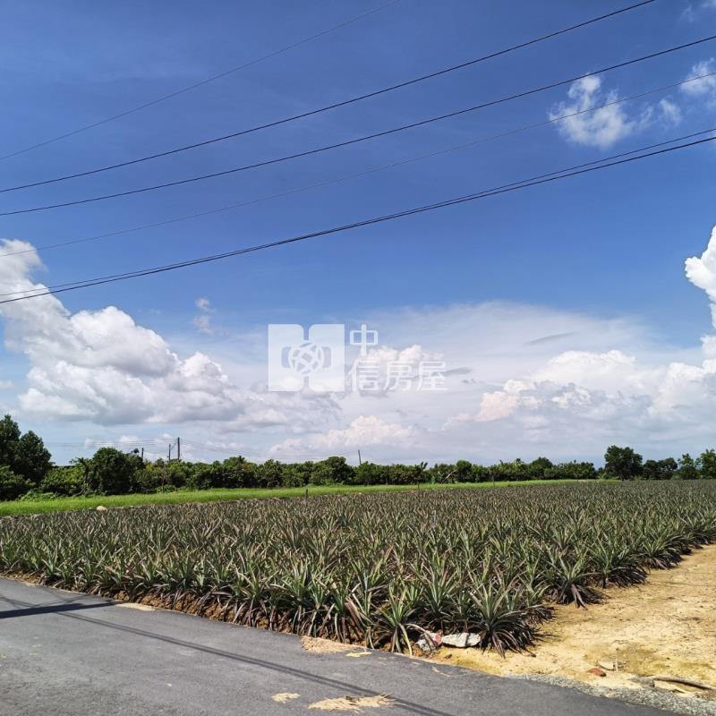 大樹小坪國小農地房屋室內格局與周邊環境