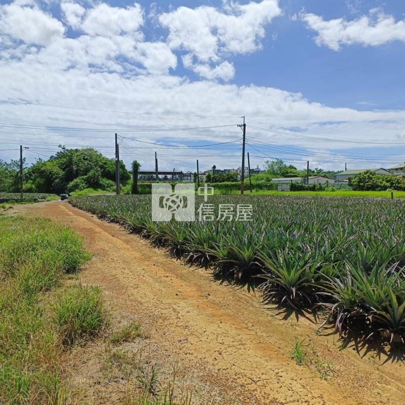 大樹小坪國小農地房屋室內格局與周邊環境