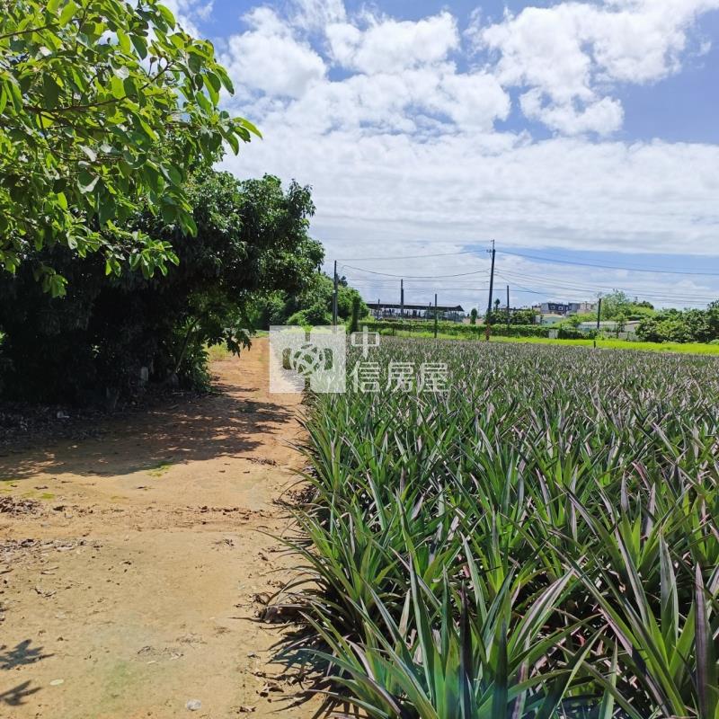 大樹小坪國小農地房屋室內格局與周邊環境