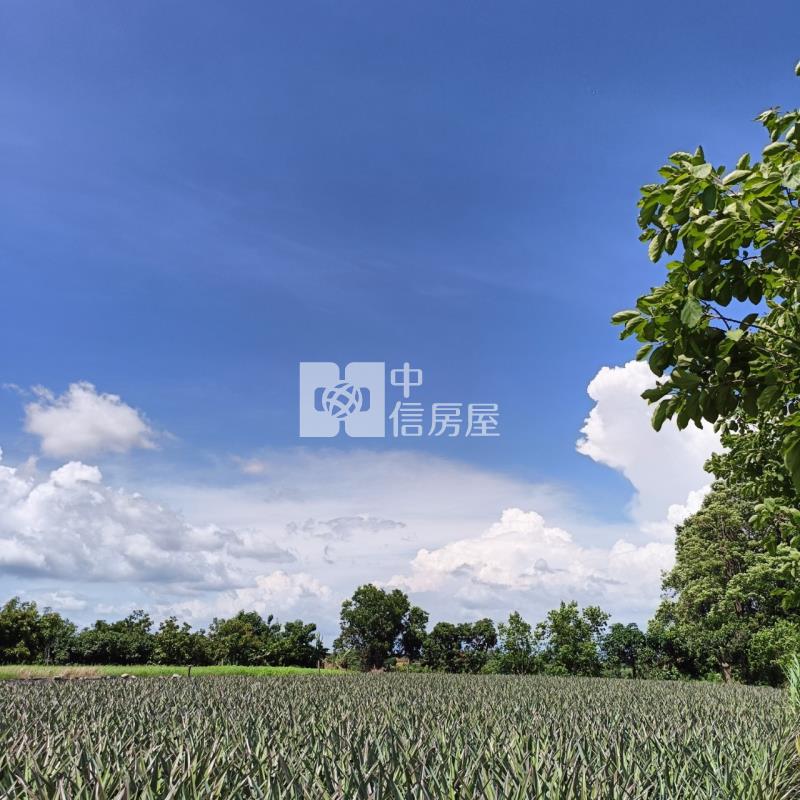 大樹小坪國小農地房屋室內格局與周邊環境