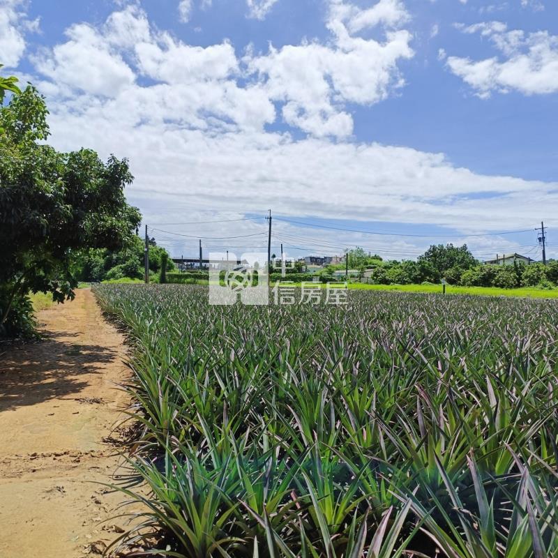 大樹小坪國小農地房屋室內格局與周邊環境