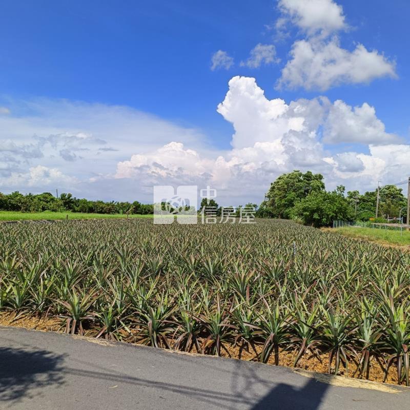 大樹小坪國小農地房屋室內格局與周邊環境