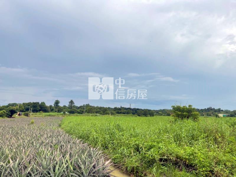 關廟千坪農地房屋室內格局與周邊環境