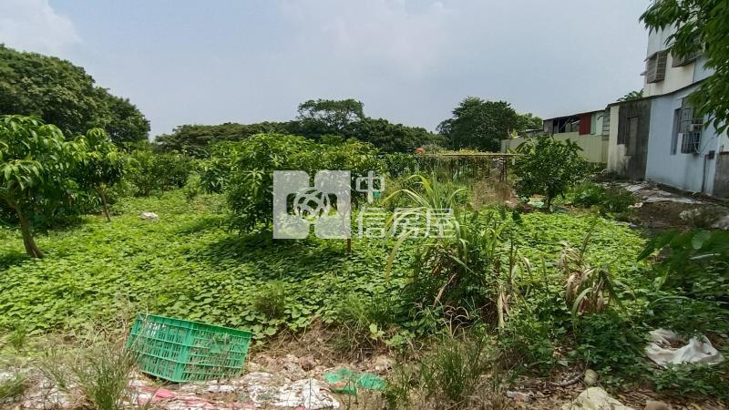 【安家】八德茄苳段都計農地房屋室內格局與周邊環境