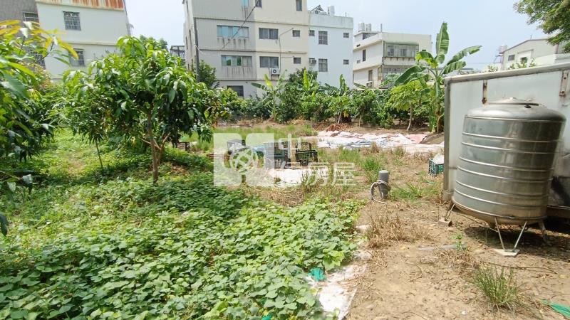 【安家】八德茄苳段都計農地房屋室內格局與周邊環境