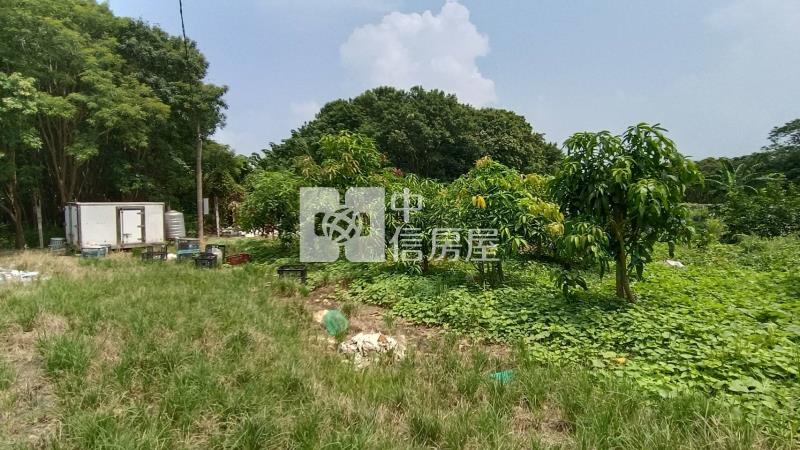 【安家】八德茄苳段都計農地房屋室內格局與周邊環境