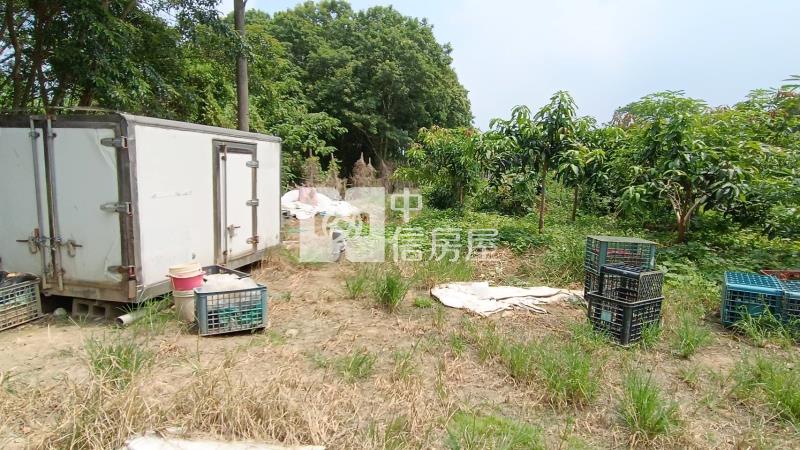 【安家】八德茄苳段都計農地房屋室內格局與周邊環境