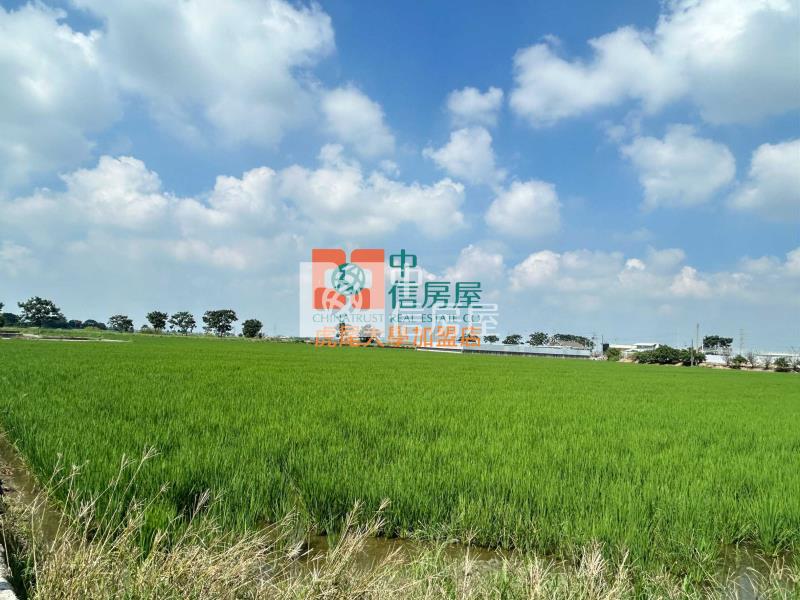 大埤都計農地房屋室內格局與周邊環境