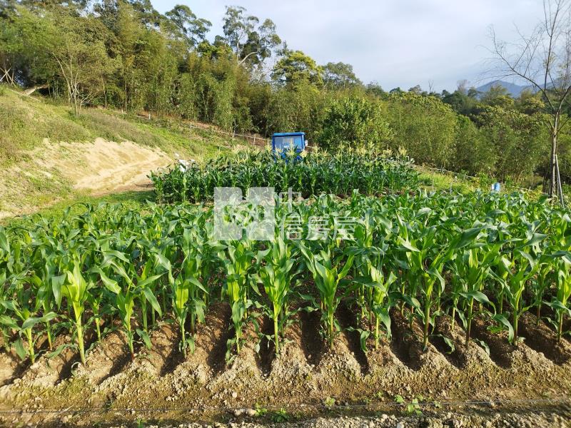 H-50復興區枕頭山景觀農場房屋室內格局與周邊環境