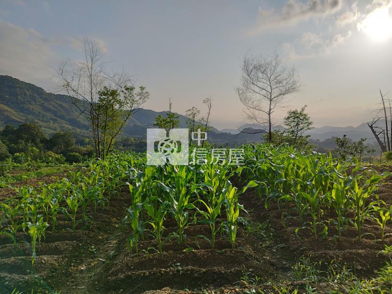 H-50復興區枕頭山景觀農場房屋室內格局與周邊環境