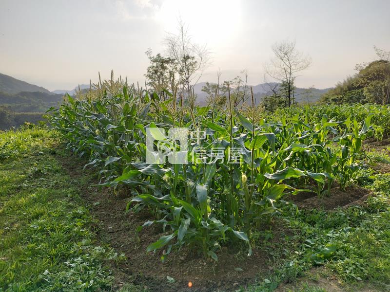 H-50復興區枕頭山景觀農場房屋室內格局與周邊環境