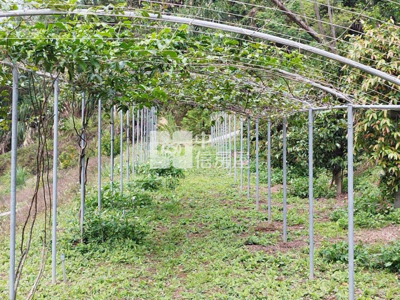 H-50復興區枕頭山景觀農場房屋室內格局與周邊環境