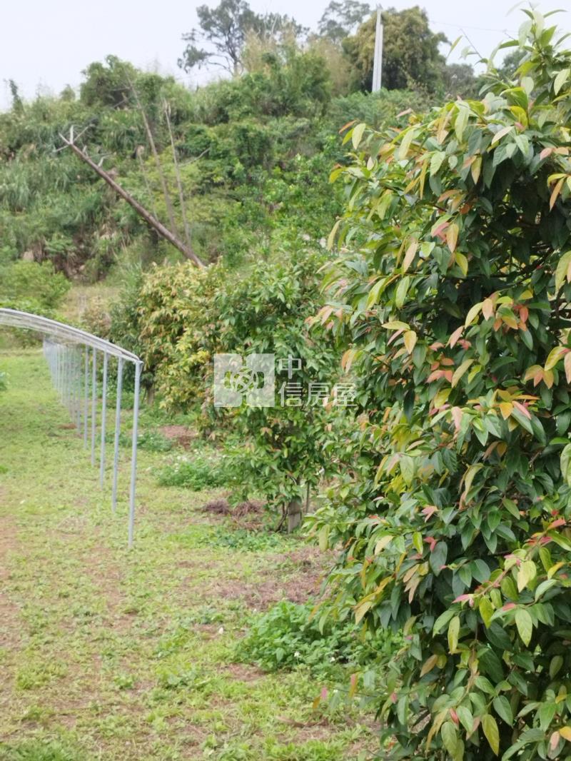 H-50復興區枕頭山景觀農場房屋室內格局與周邊環境