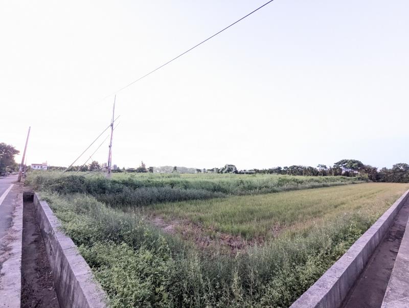 近世紀鋼構金湖段低總價美農地房屋室內格局與周邊環境