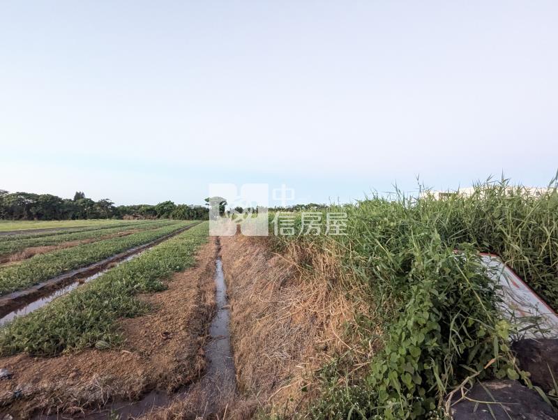 近世紀鋼構金湖段低總價美農地房屋室內格局與周邊環境