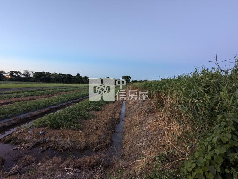 近世紀鋼構金湖段低總價美農地房屋室內格局與周邊環境