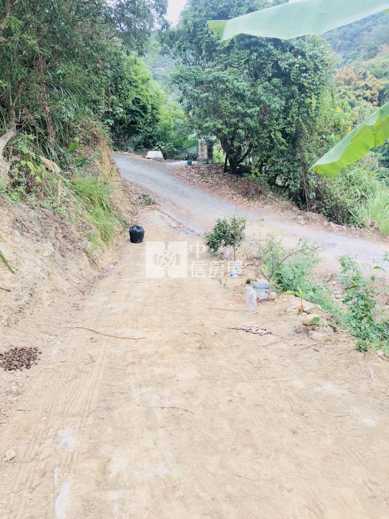 霧峰桐林景觀土地房屋室內格局與周邊環境