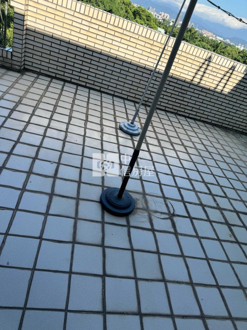 專任-龍潭潛龍國小庭院美別墅可停4部車房屋室內格局與周邊環境