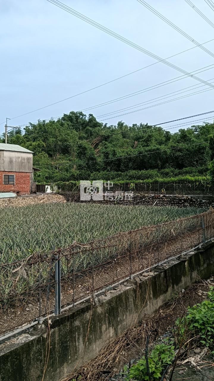 林內農地房屋室內格局與周邊環境