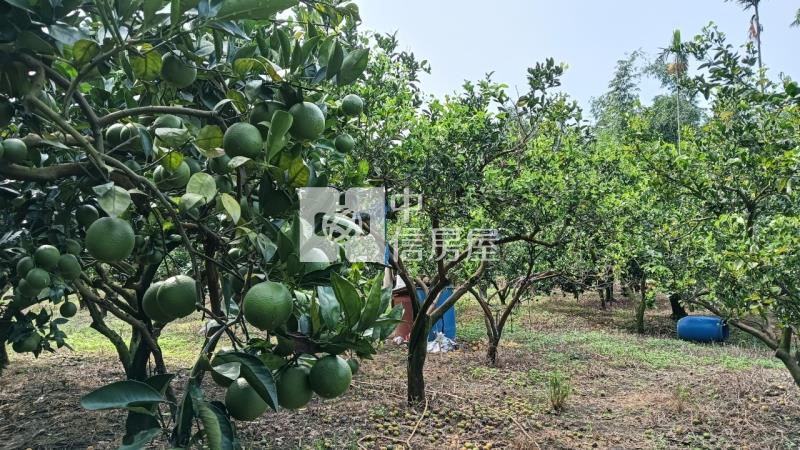 林內農地房屋室內格局與周邊環境