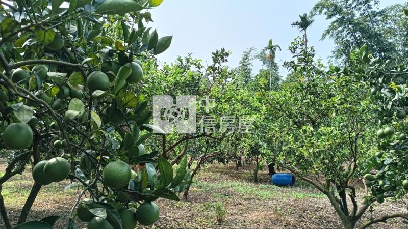 林內農地房屋室內格局與周邊環境