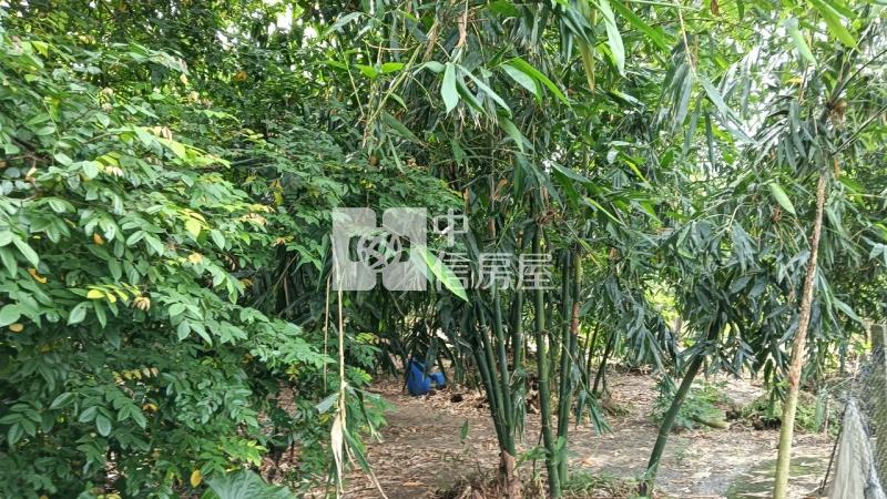 林內農地房屋室內格局與周邊環境