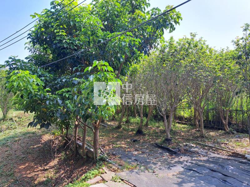 苗栗頭份農地房屋室內格局與周邊環境