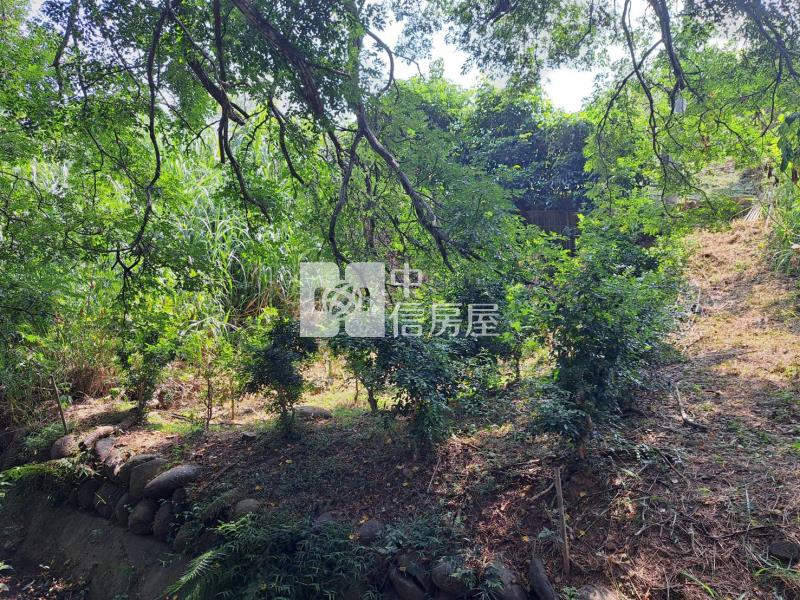 苗栗頭份農地房屋室內格局與周邊環境