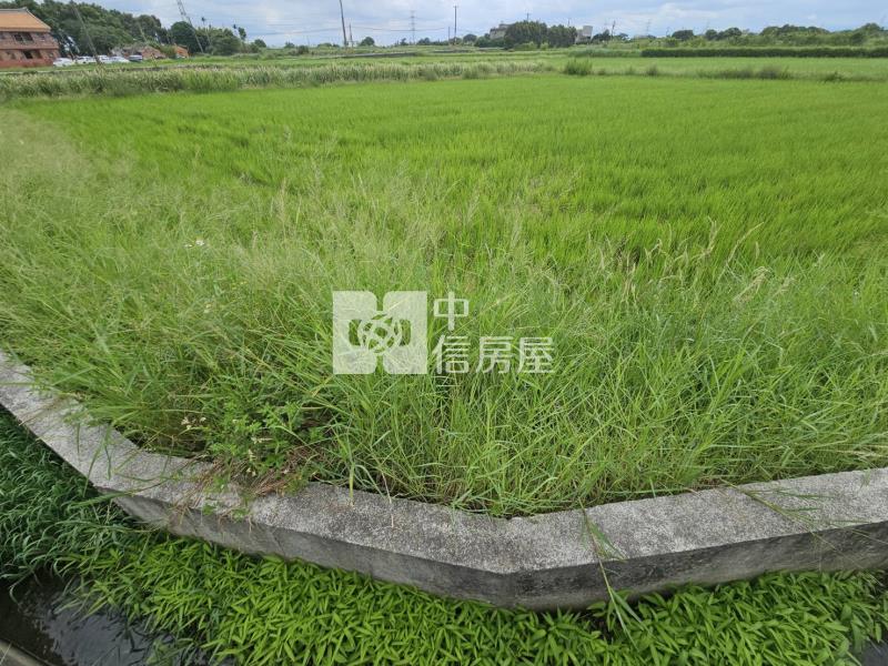 楊梅雙面臨路農保地房屋室內格局與周邊環境