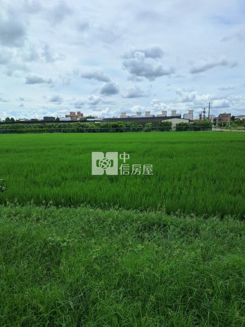海豐崙透天房屋室內格局與周邊環境