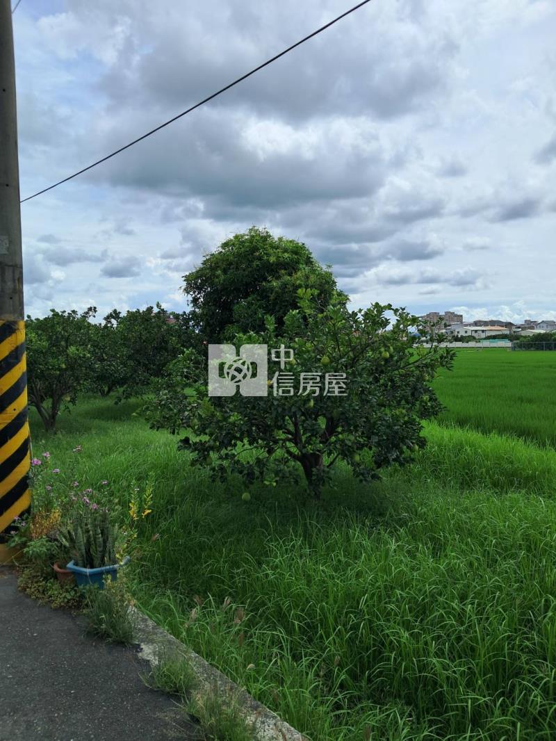 海豐崙透天房屋室內格局與周邊環境